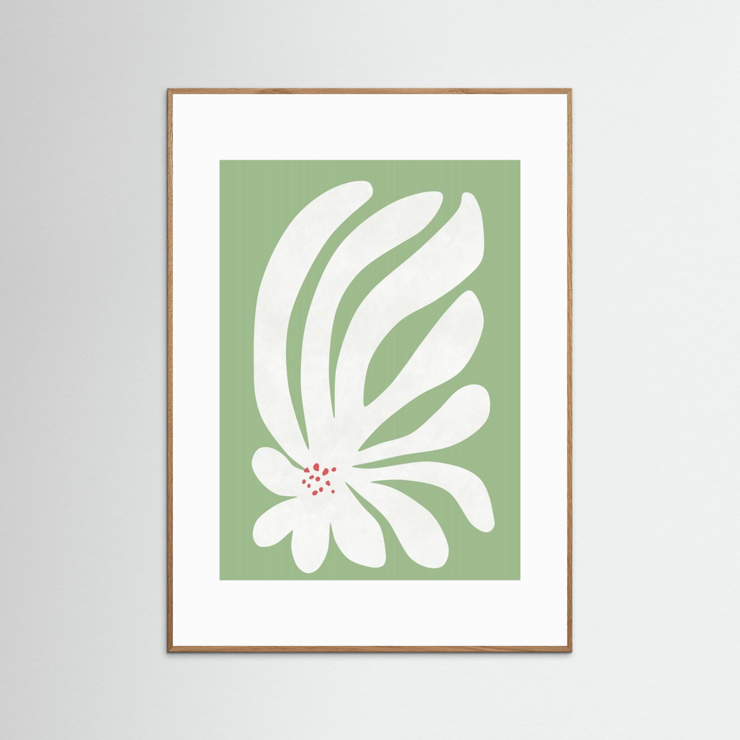 White Chrysanthemum Flower by Amini54