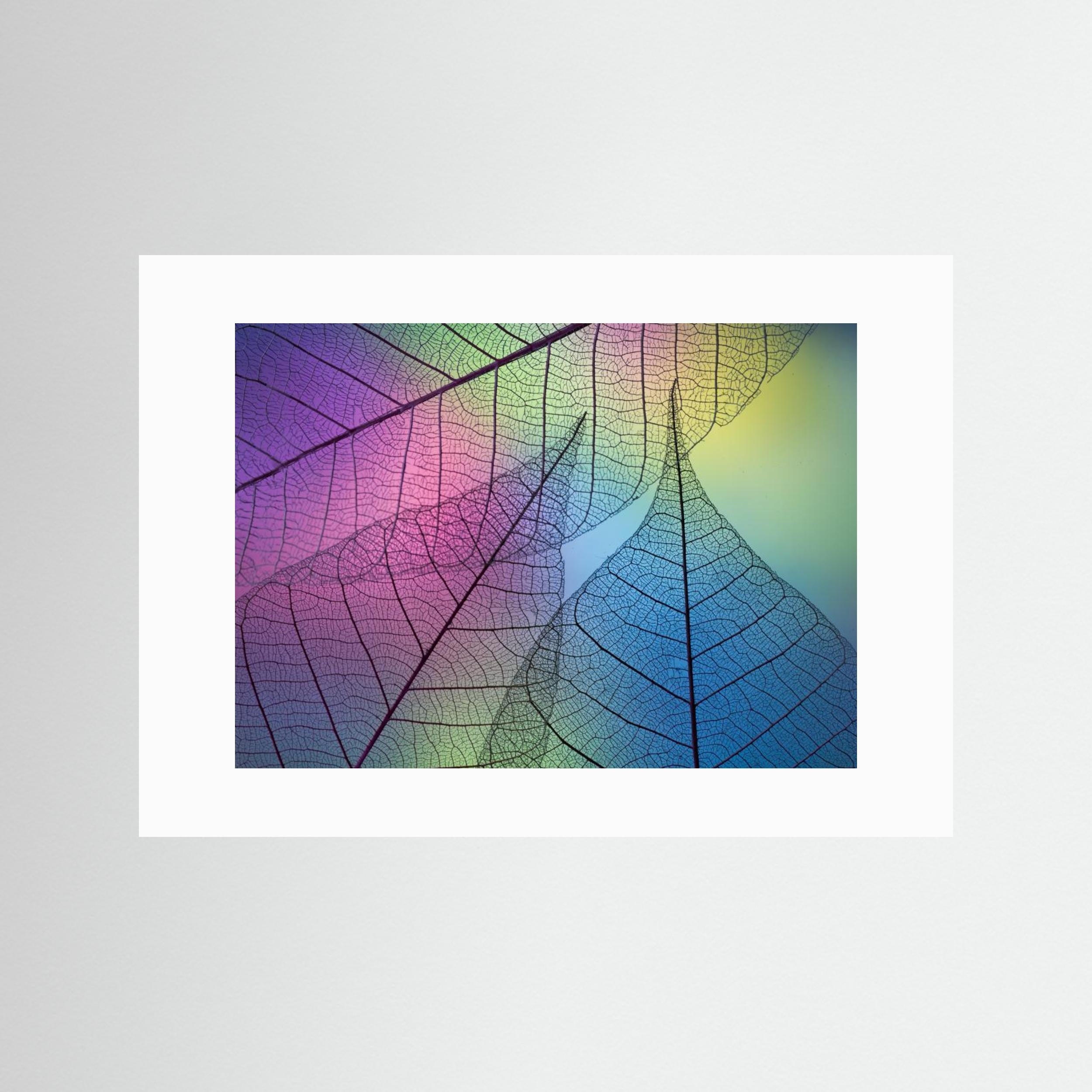 Colors Leafs by Shihya Kowatari