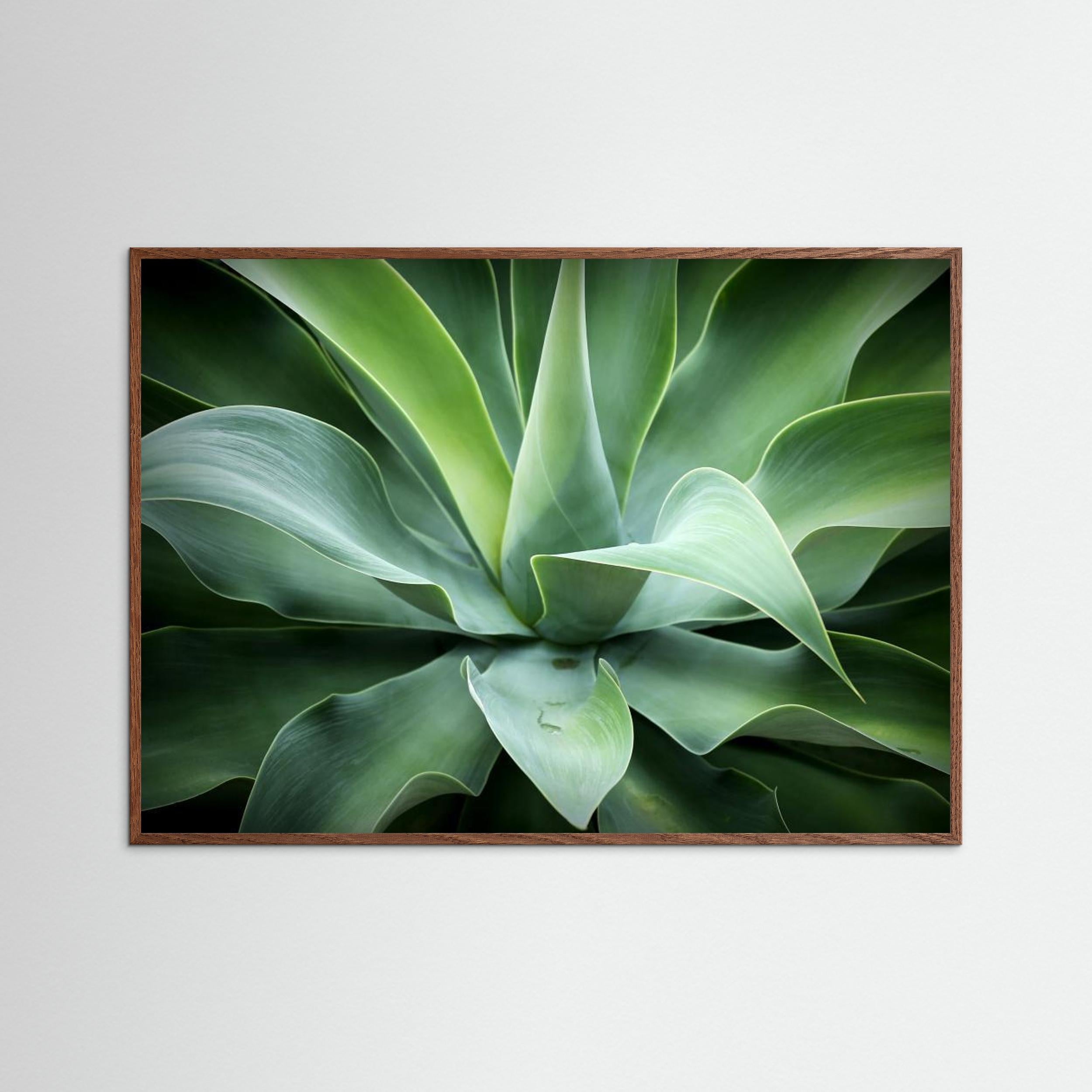 Natural by Isabel Daniel