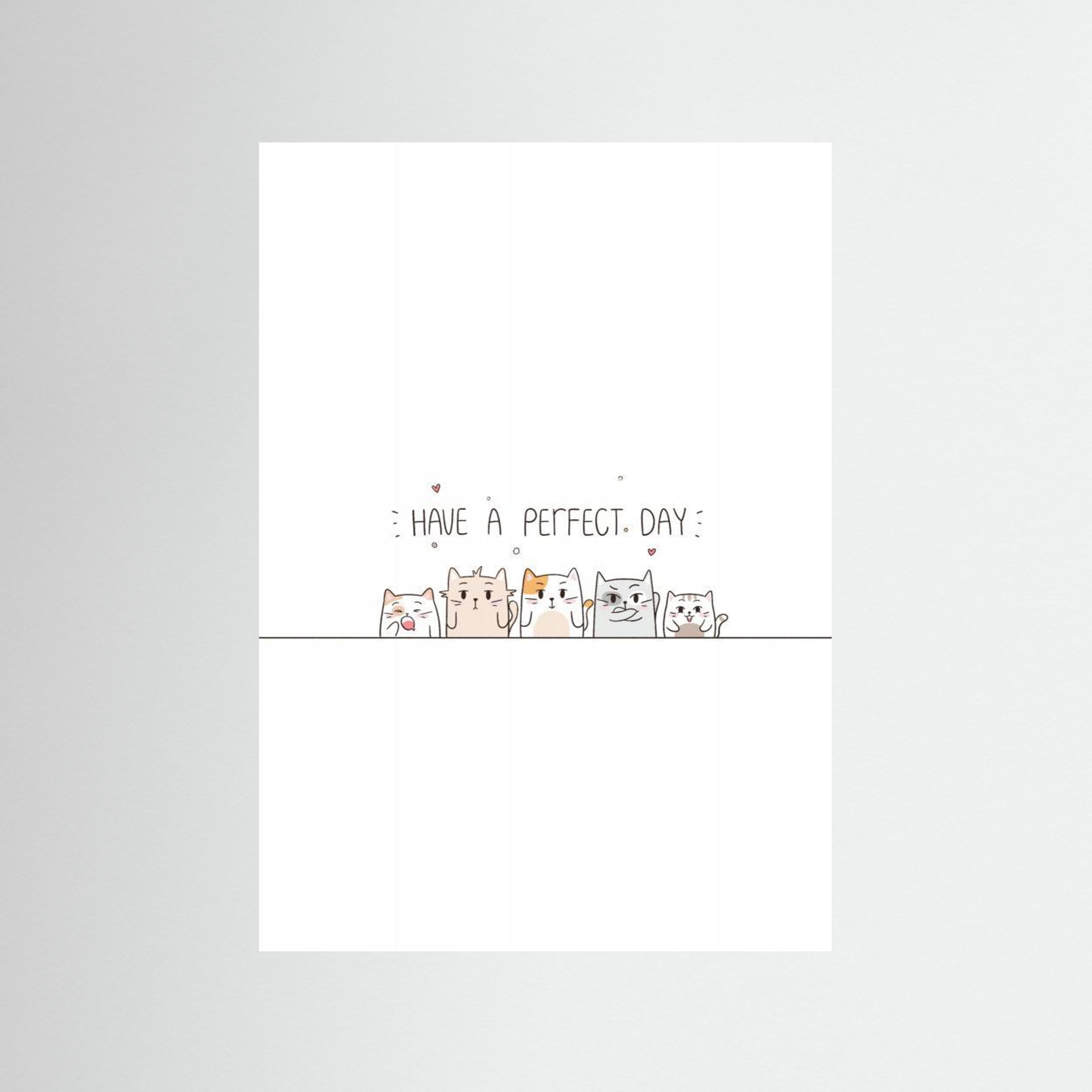 Funny Cats by Xuan Thai