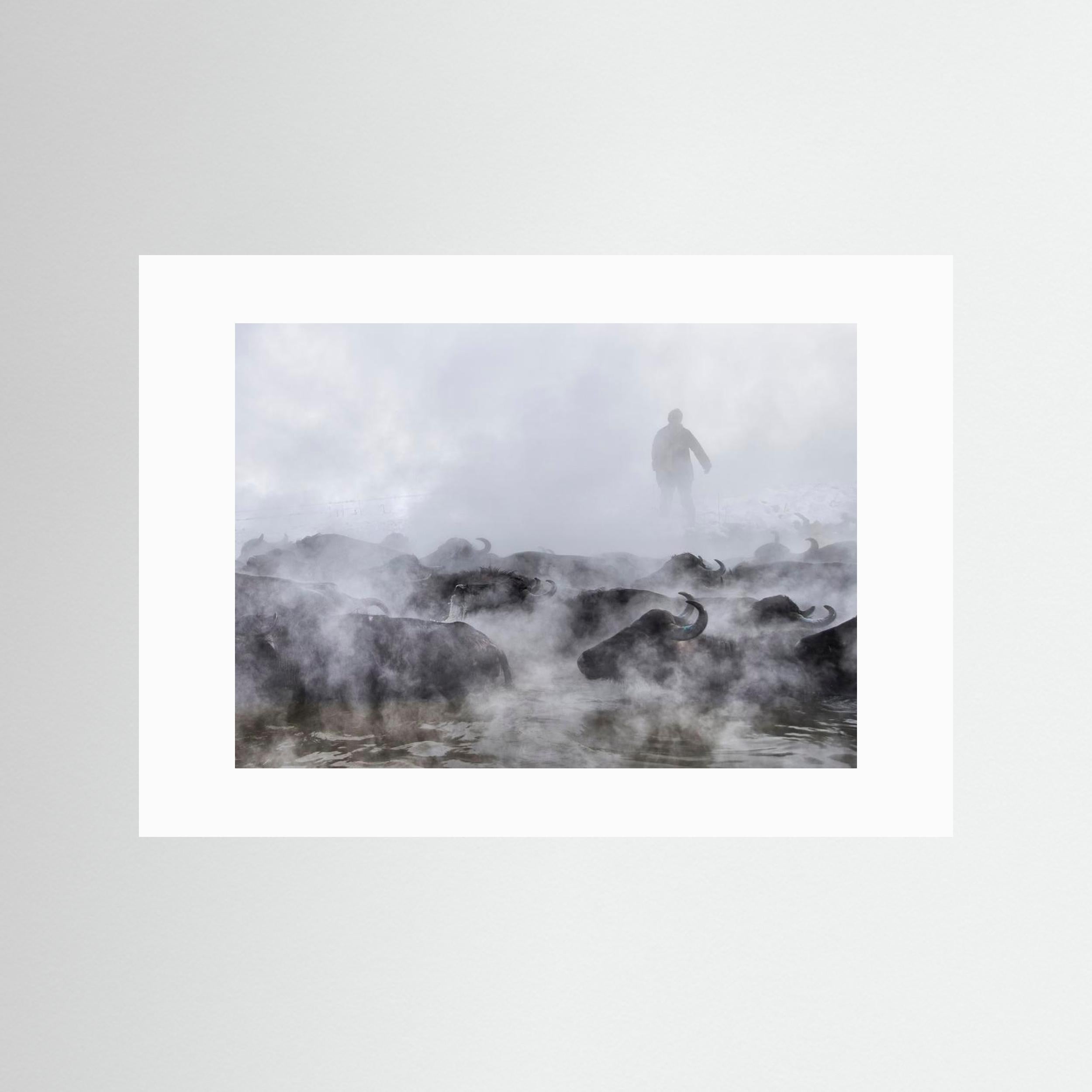 Wild Life by Ferhat Gursu