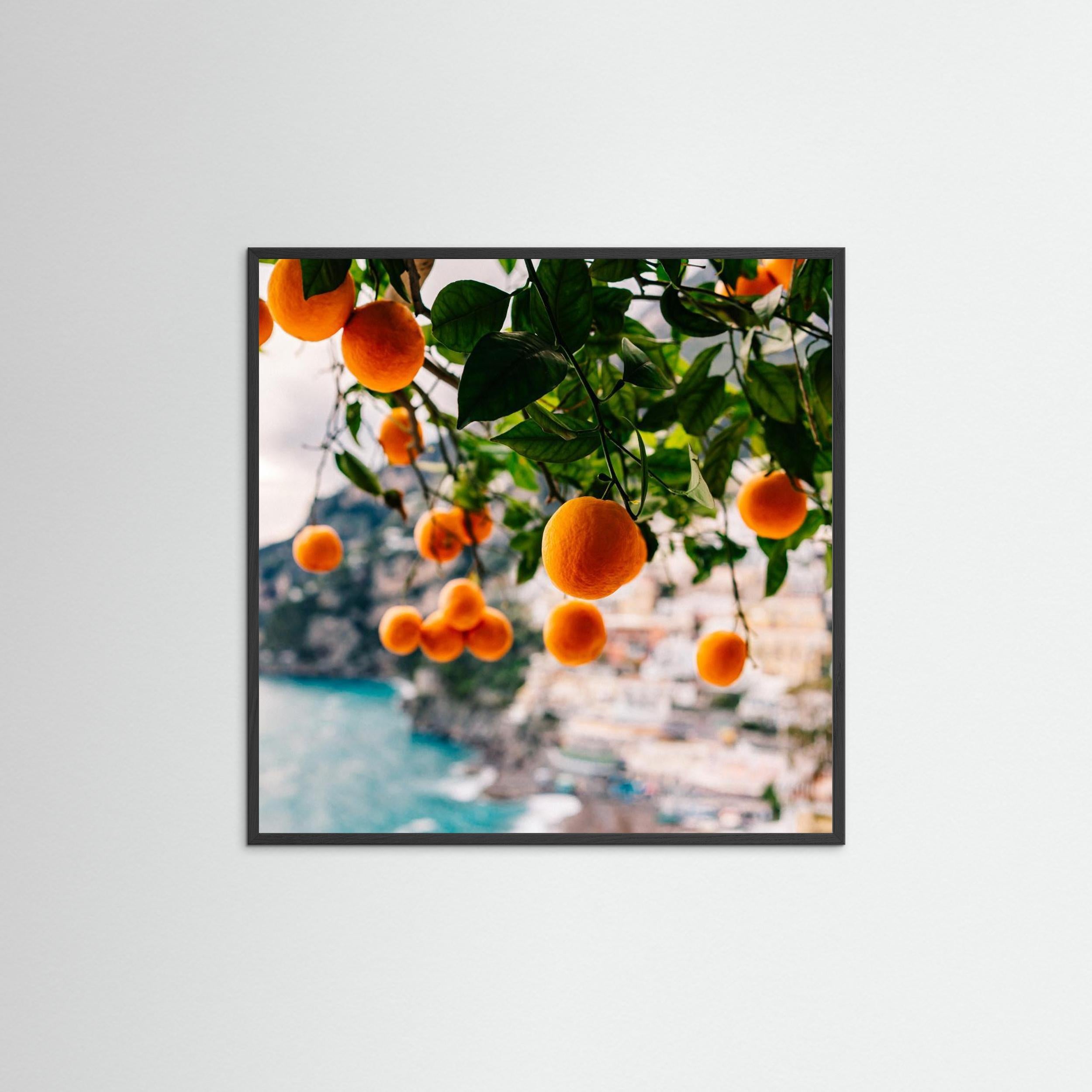 Amalfi Coast Oranges by Bethany Young