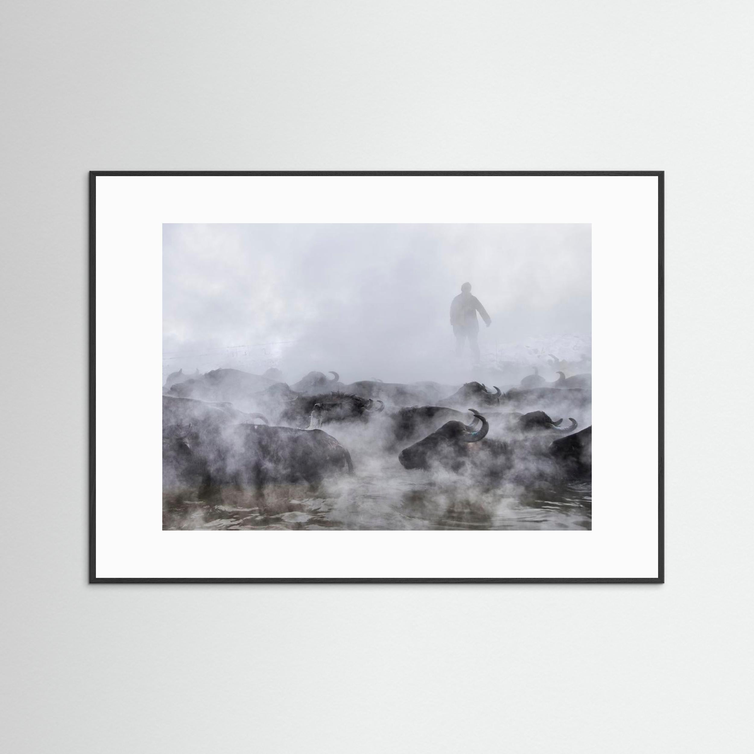 Wild Life by Ferhat Gursu