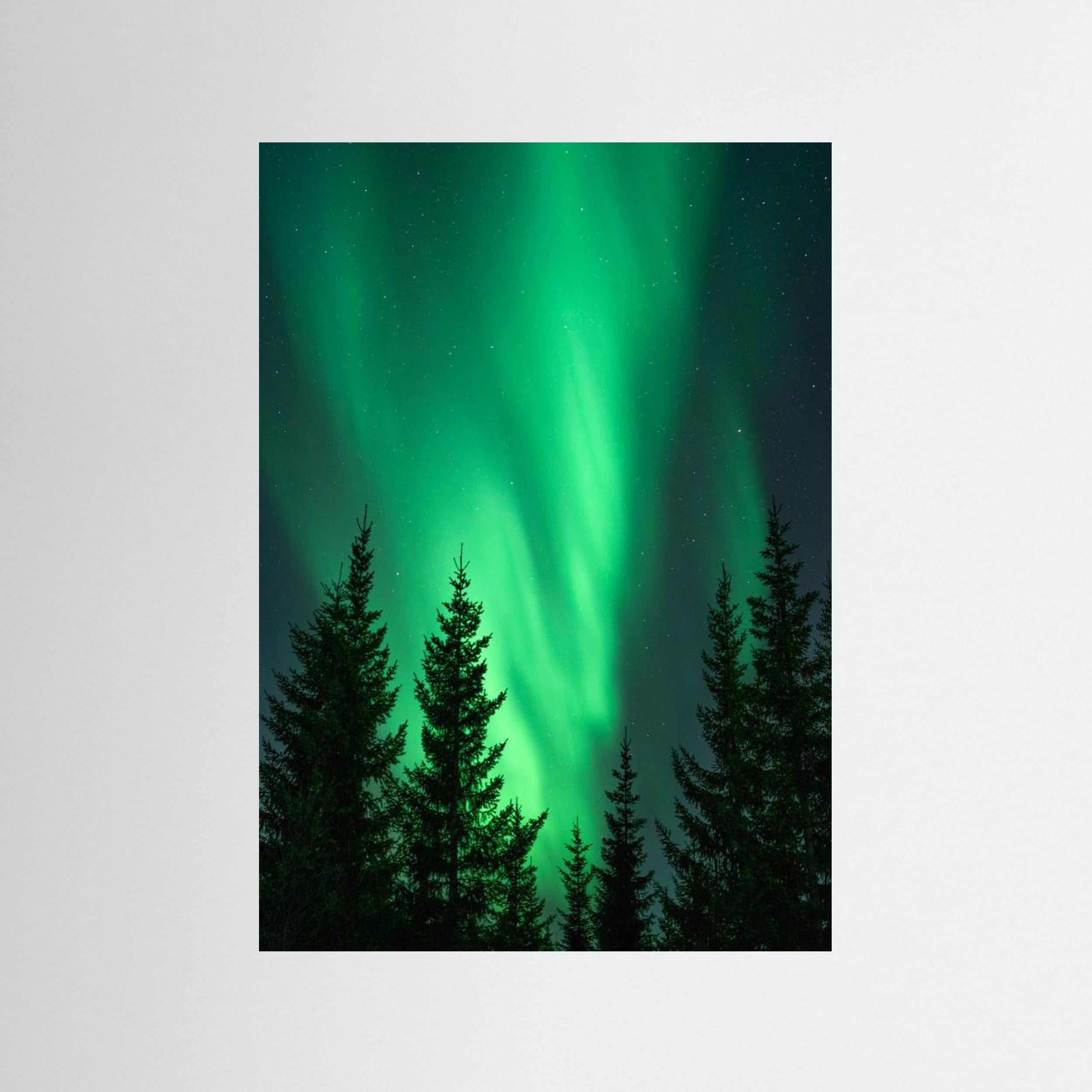 Northern Lights in the Woods by Henrike Schenk