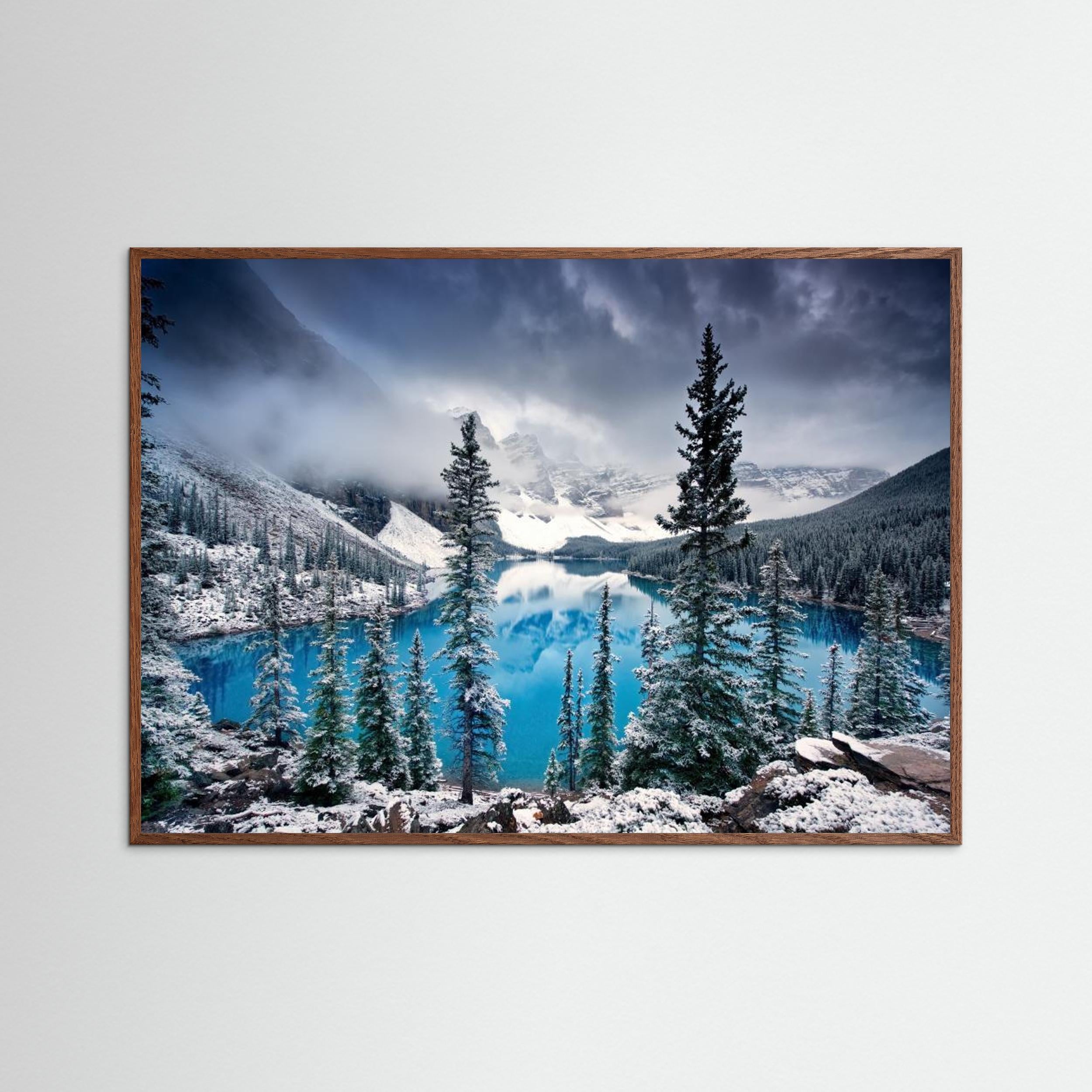 Morning blues by Trevor Cole