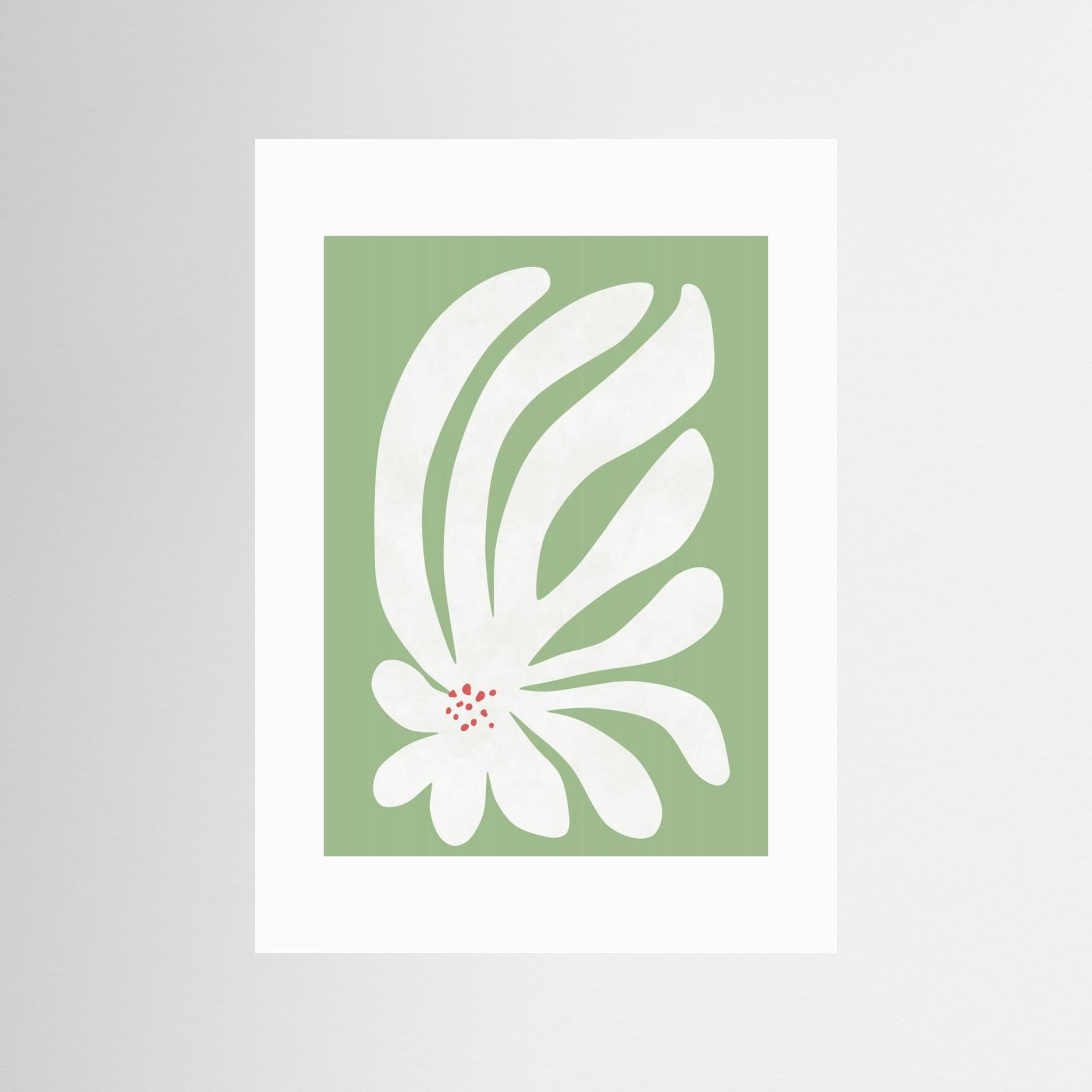 White Chrysanthemum Flower by Amini54