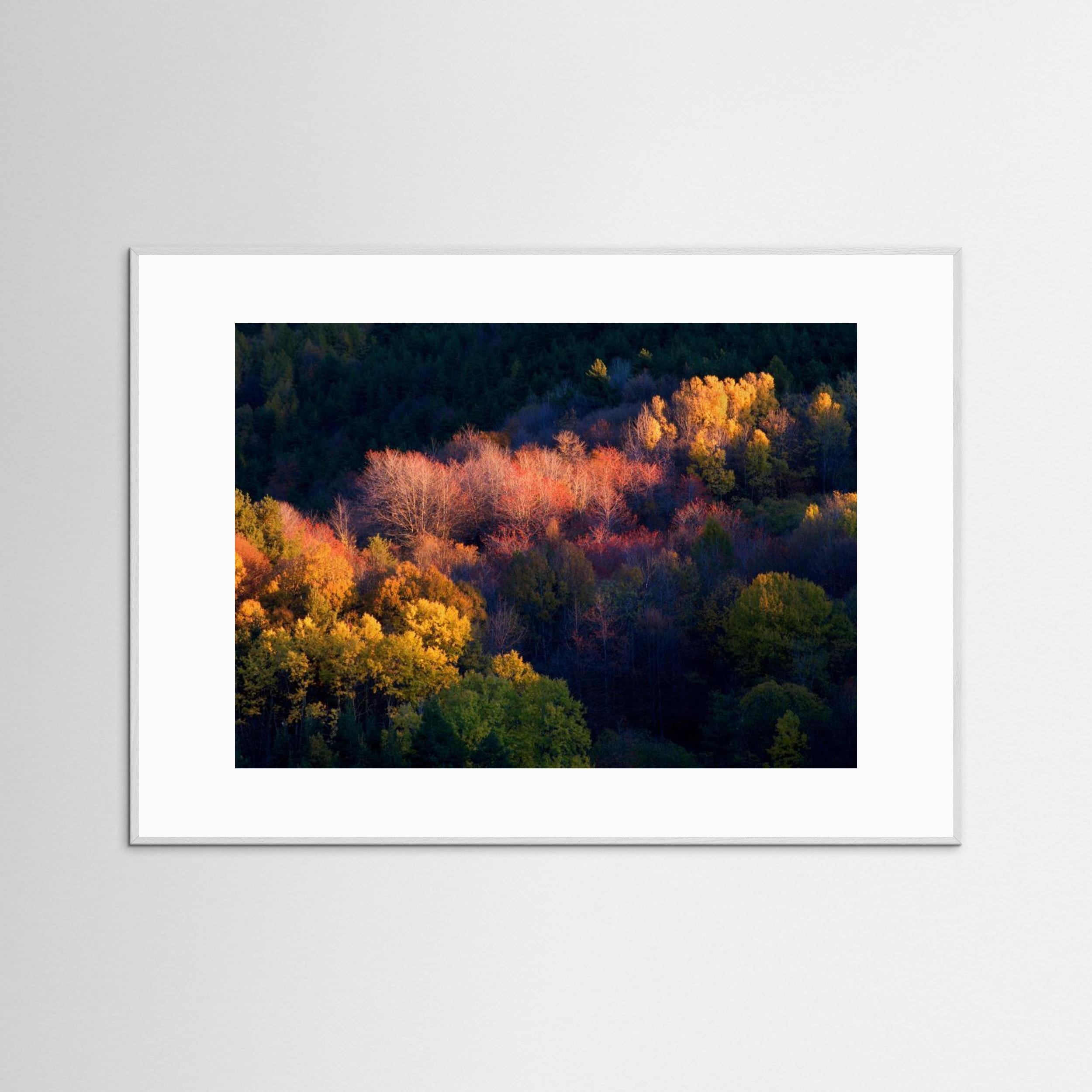 Colors by Paolo Bolla