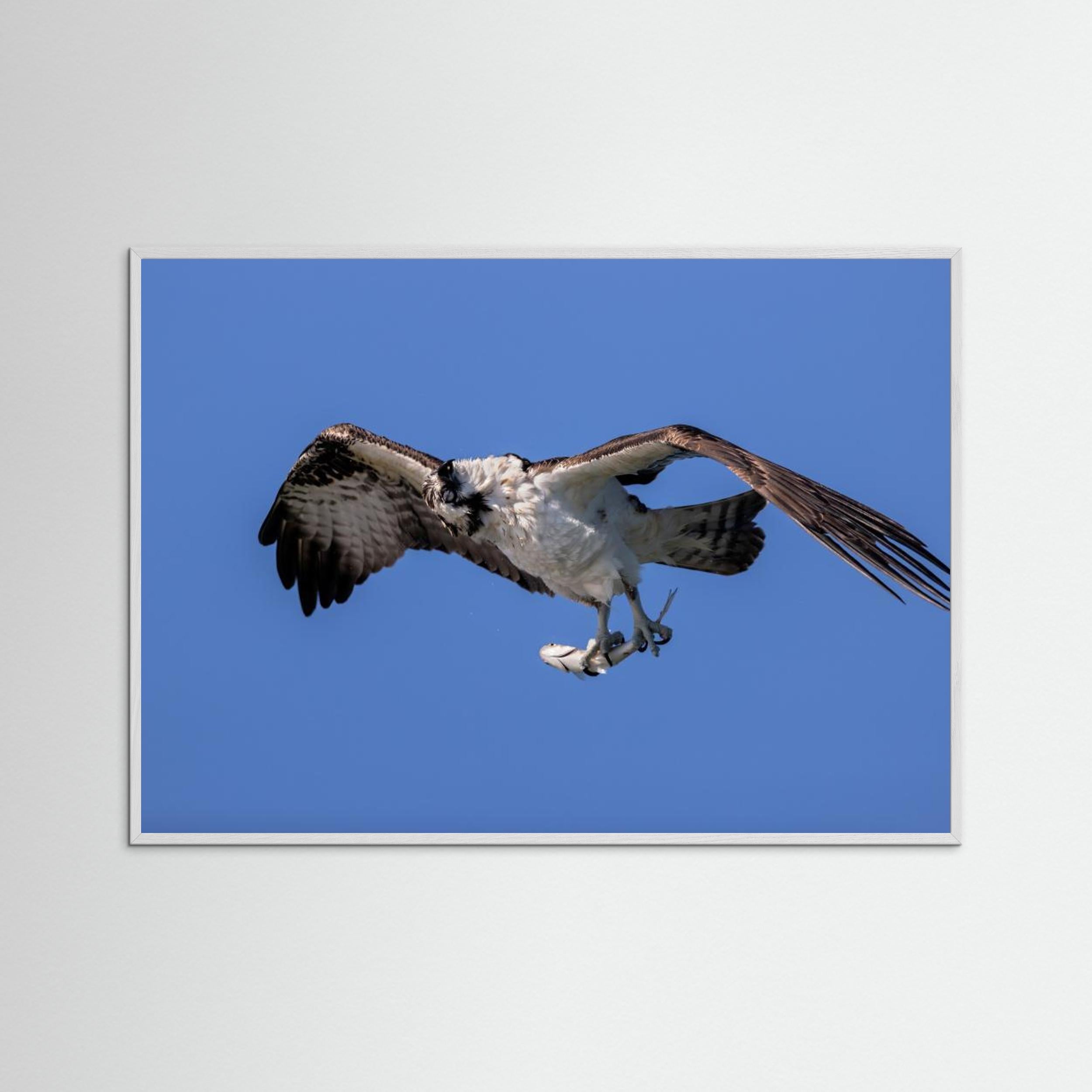 Shaking Water by Jun Zuo