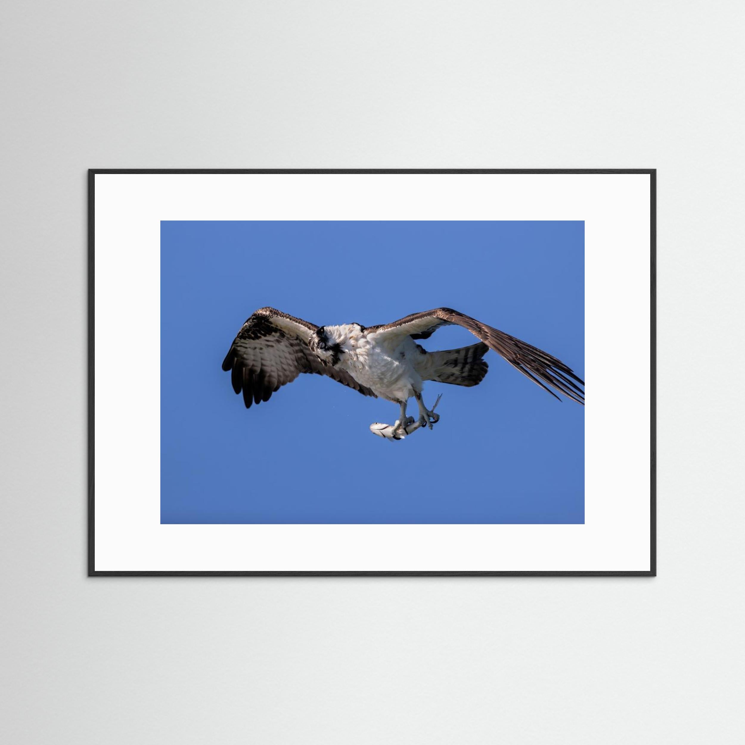 Shaking Water by Jun Zuo