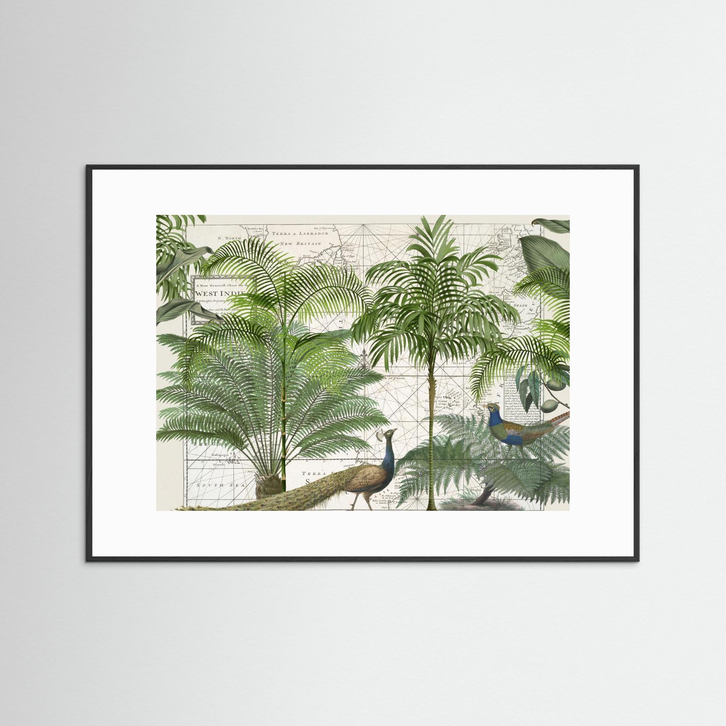 Tropical Empire No6 by Andrea Haase