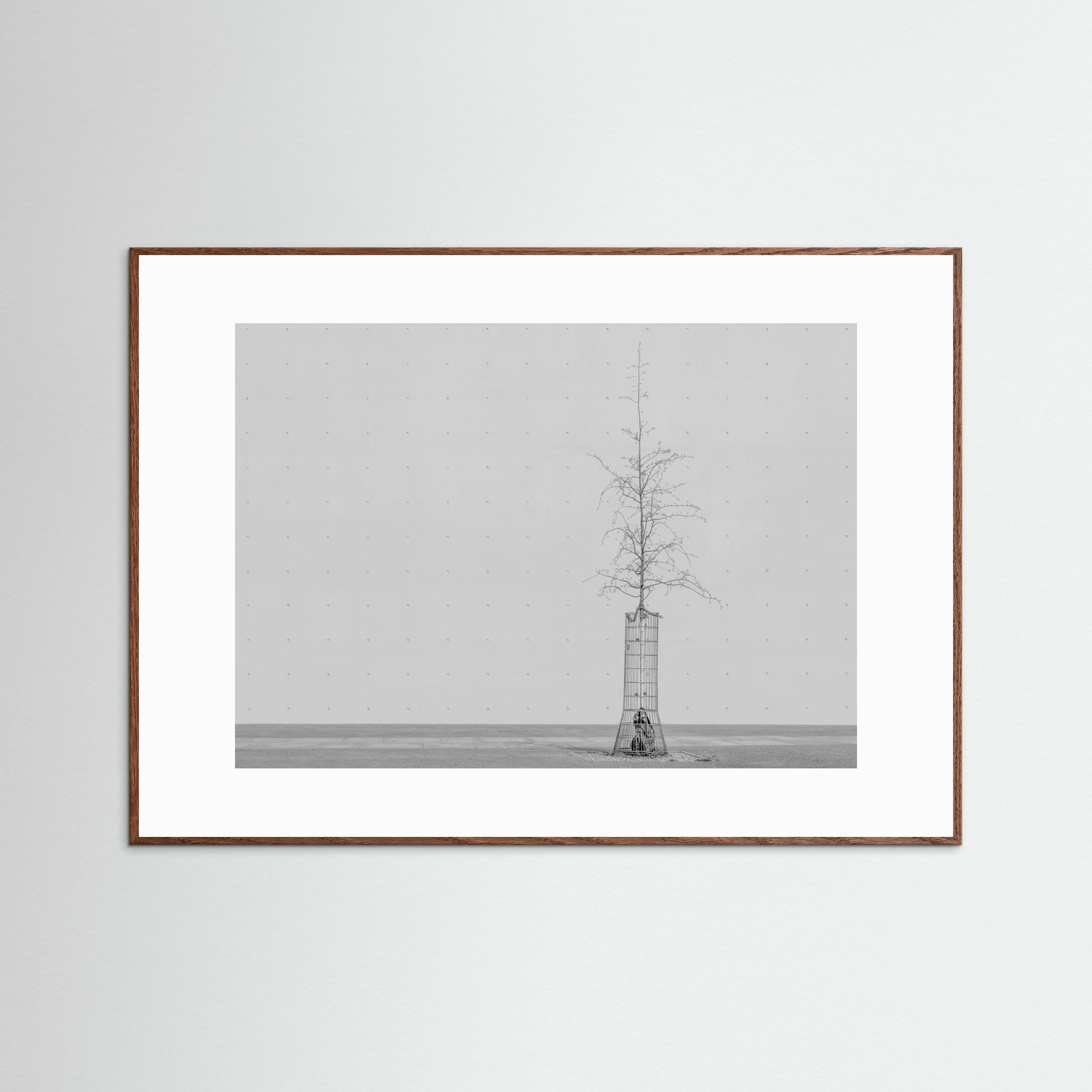 the tree by Klaus Lenzen