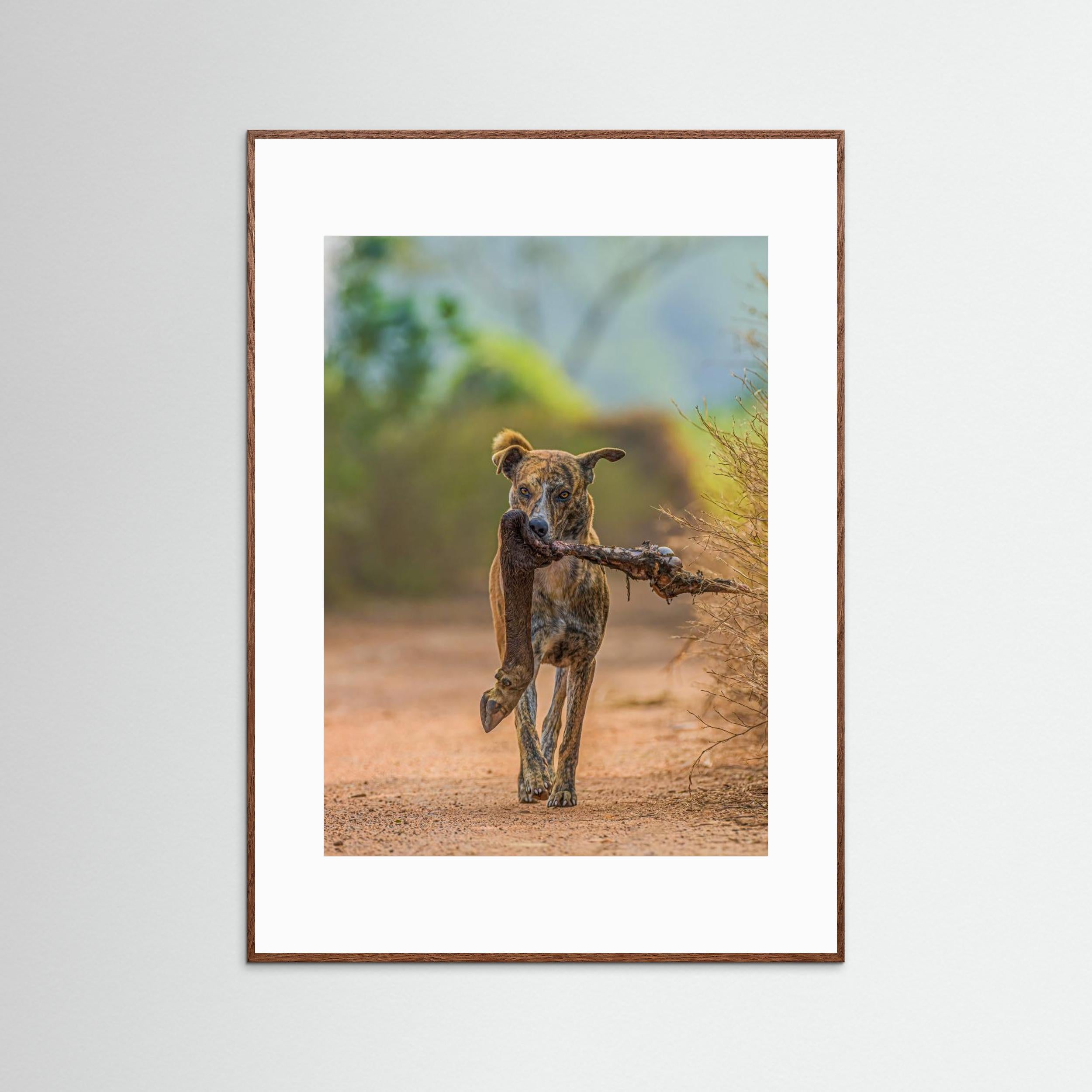 Party with leg piece by Susavan Aditya