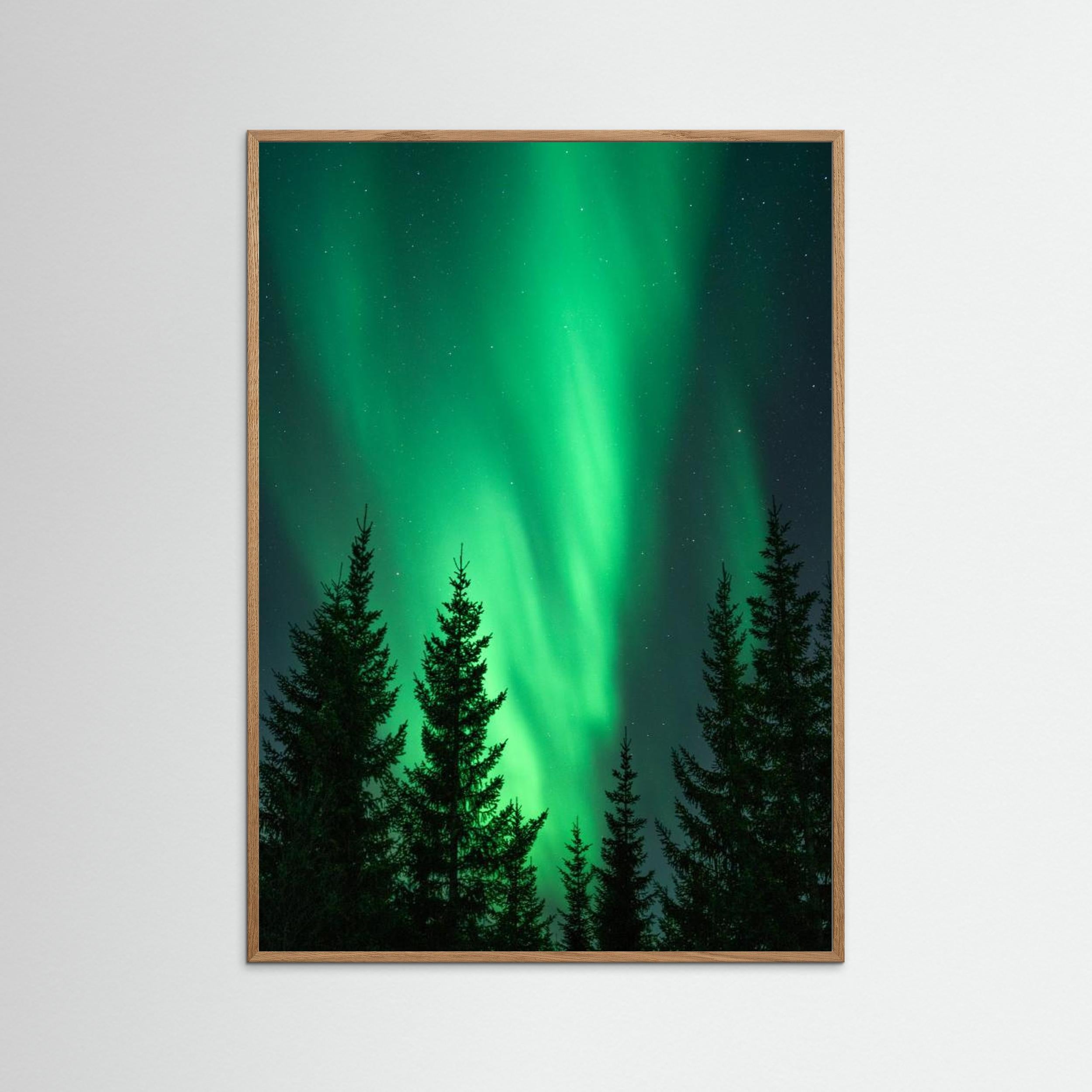 Northern Lights in the Woods by Henrike Schenk