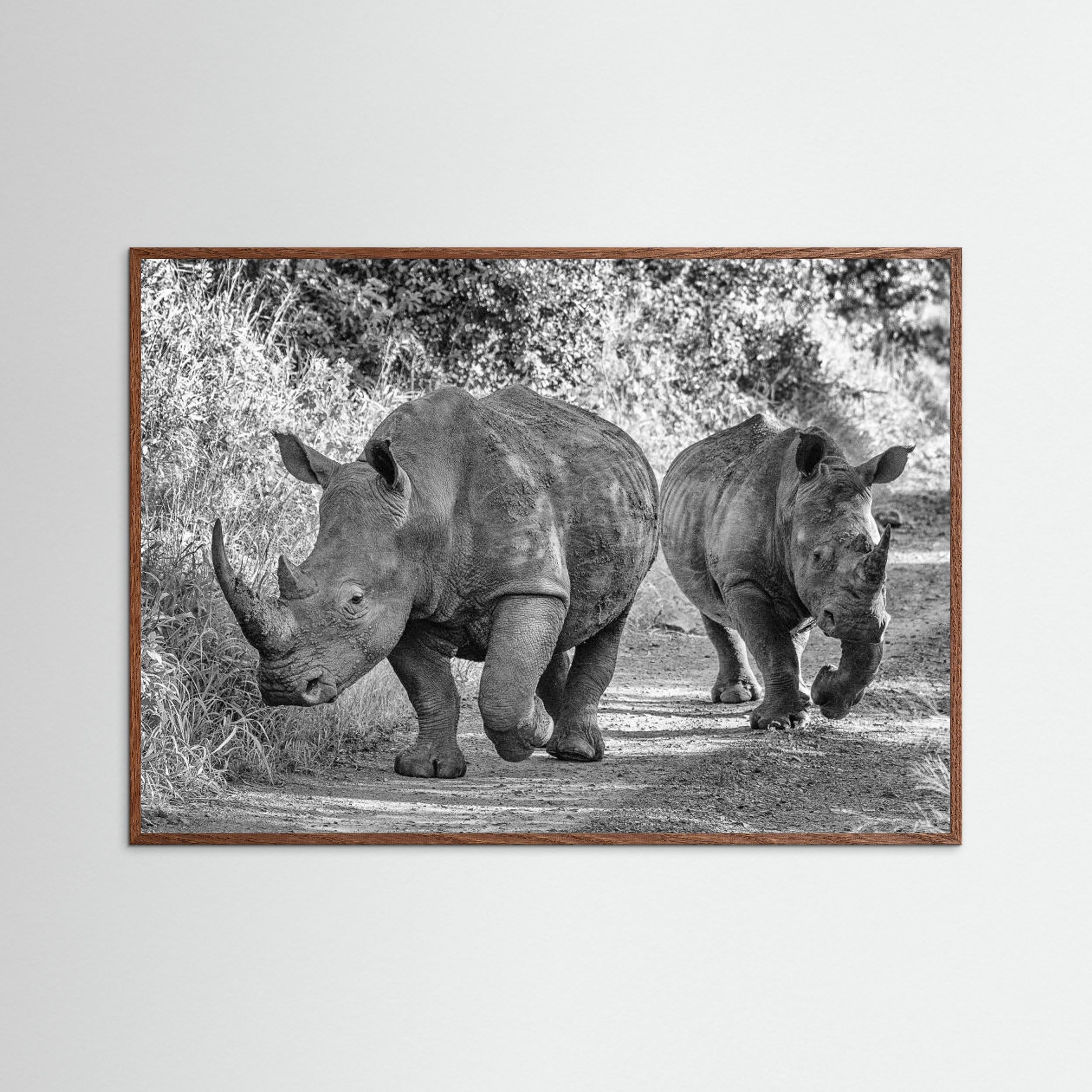 The two rhinos - Wildlife III by Regine Richter