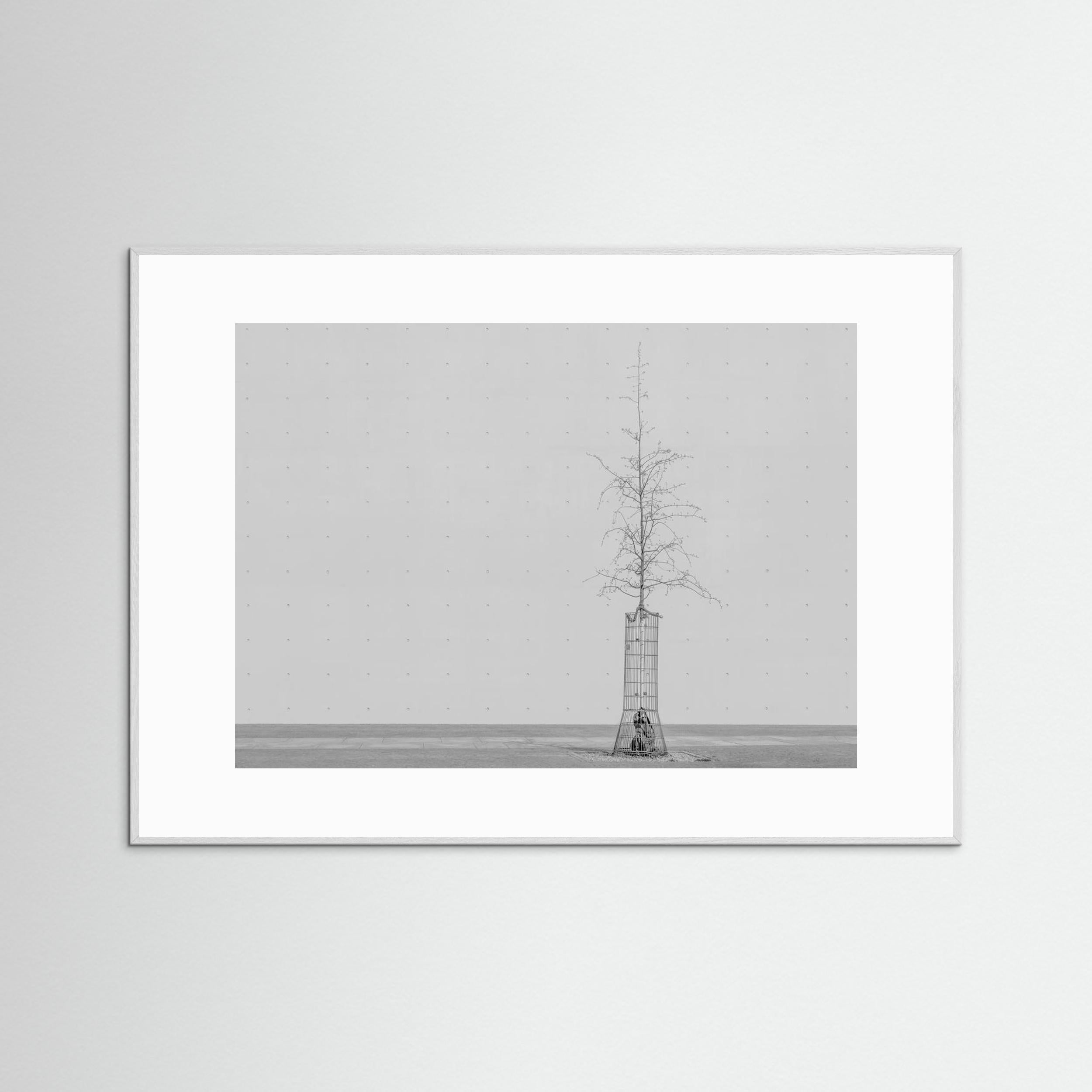 the tree by Klaus Lenzen