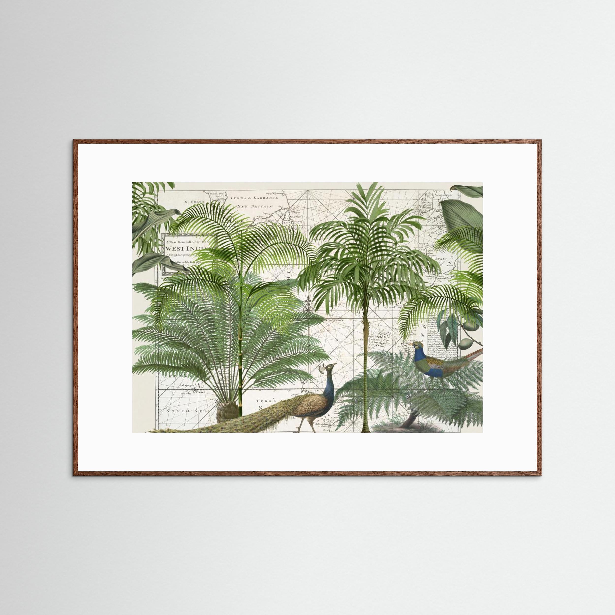 Tropical Empire No6 by Andrea Haase