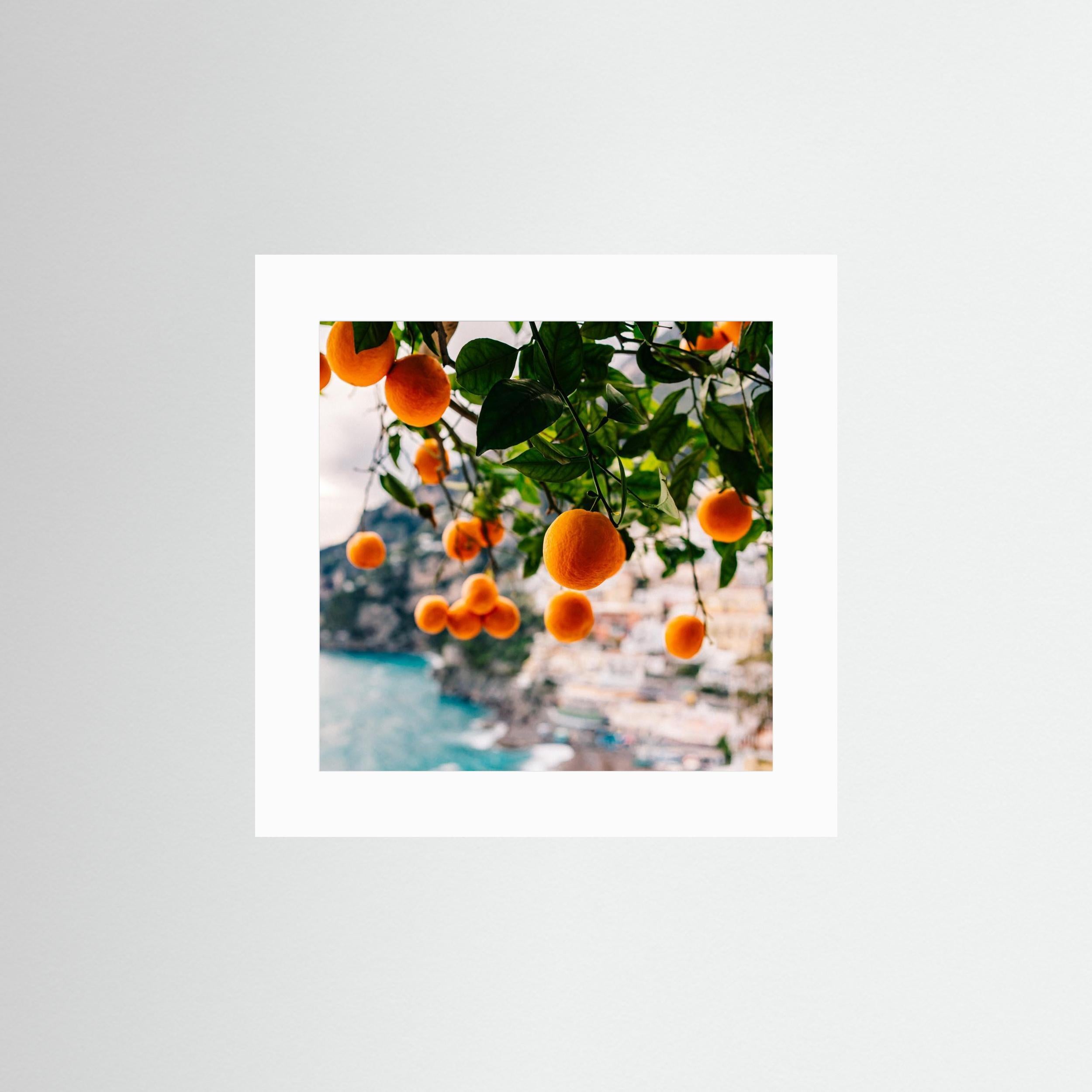 Amalfi Coast Oranges by Bethany Young