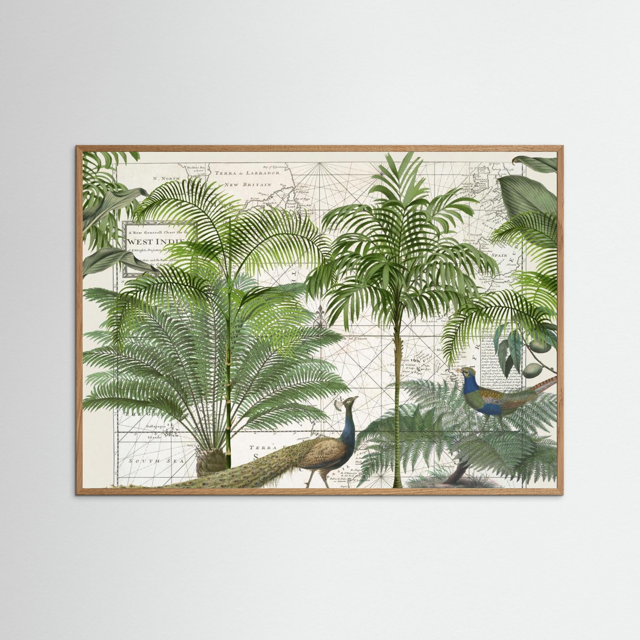 Tropical Empire No6 by Andrea Haase