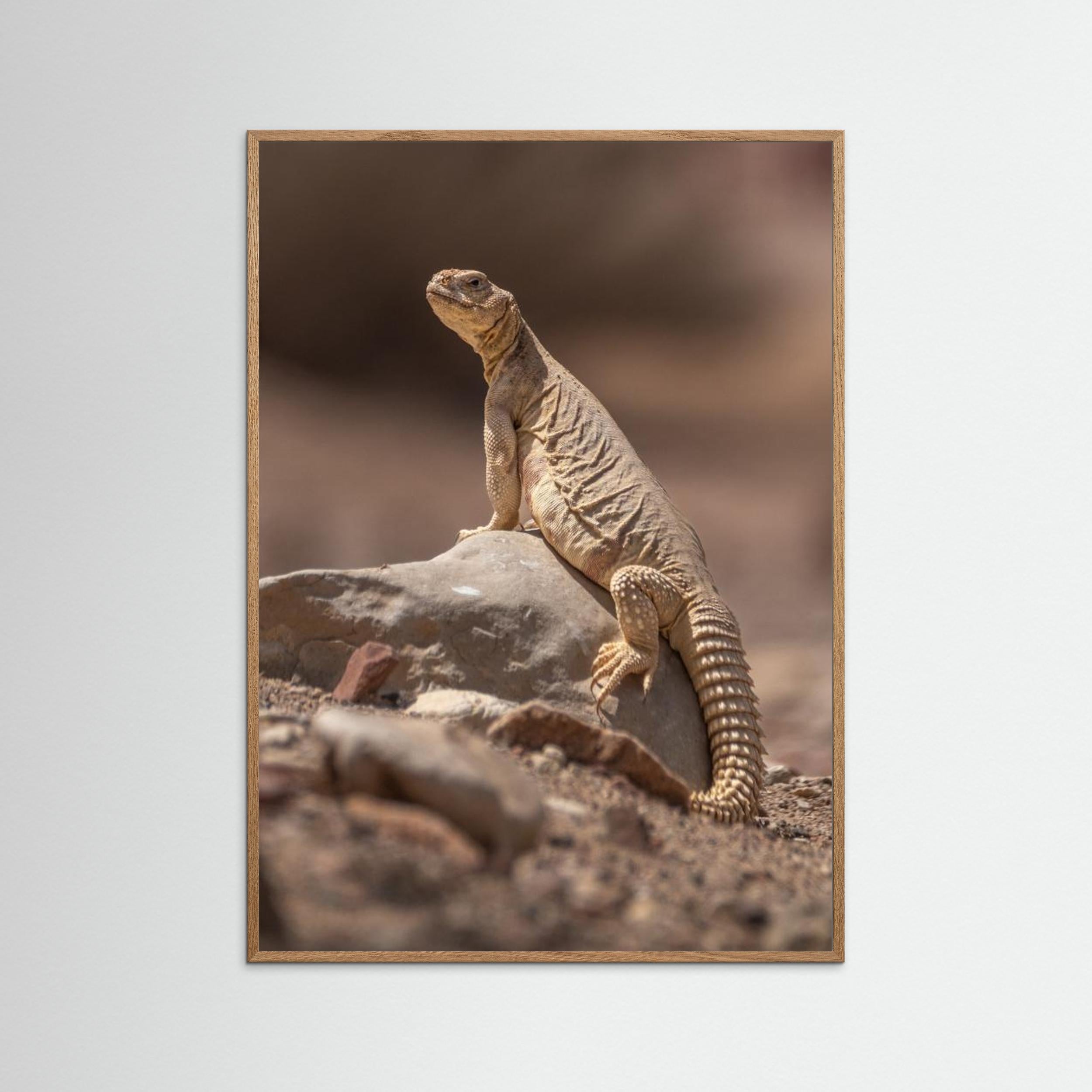 Looking at the intruder by Doron Margulies