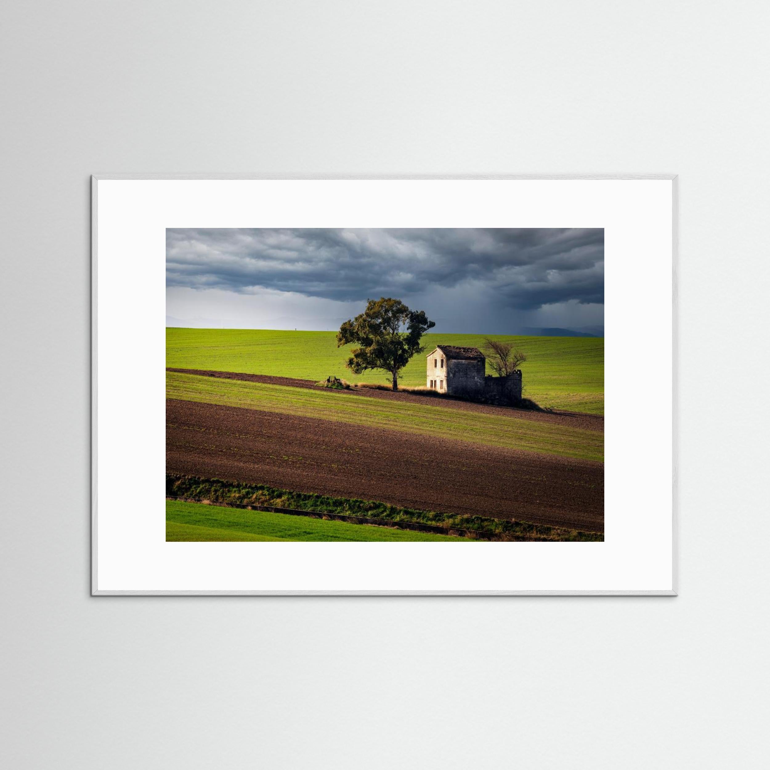 Nature by Luigi Greco