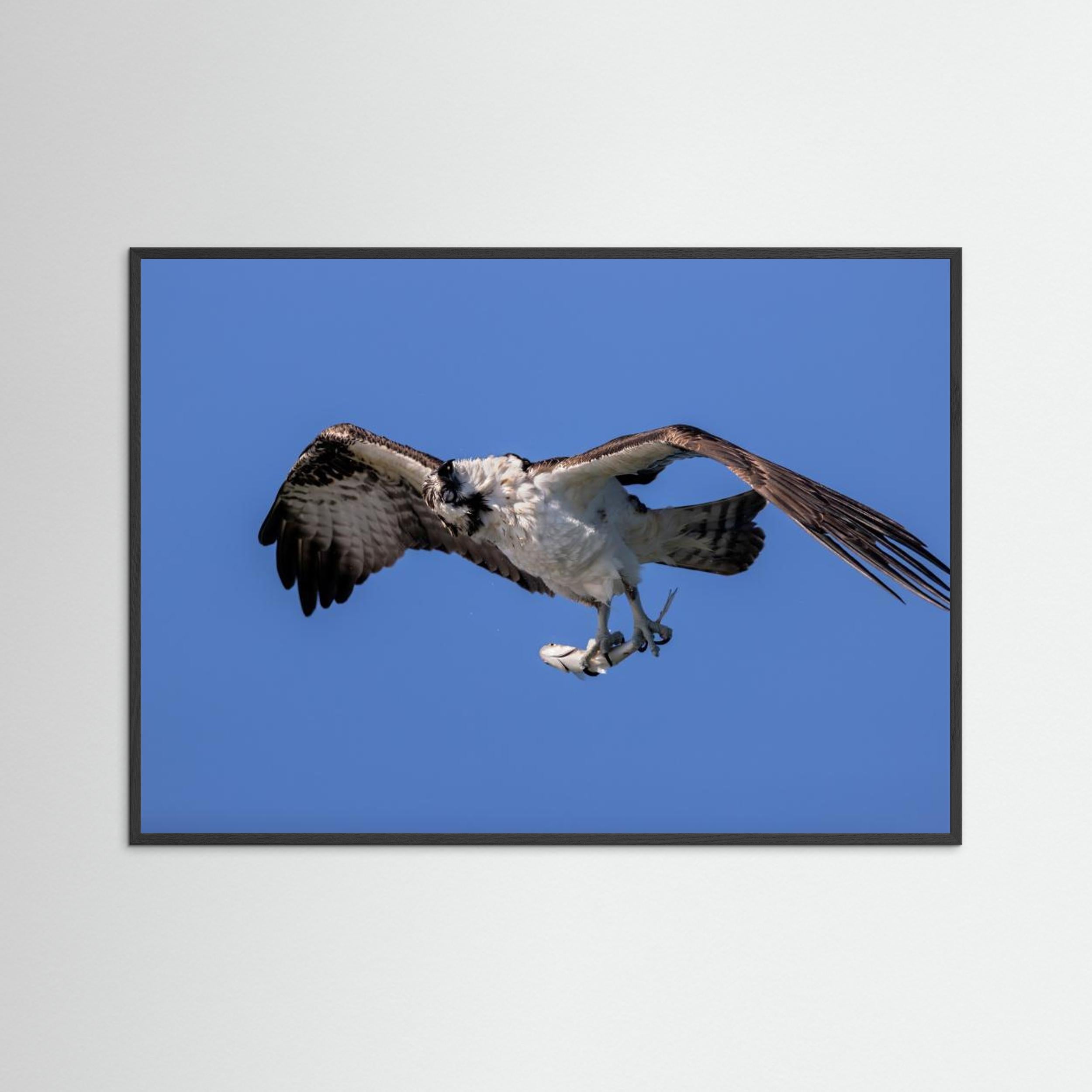 Shaking Water by Jun Zuo