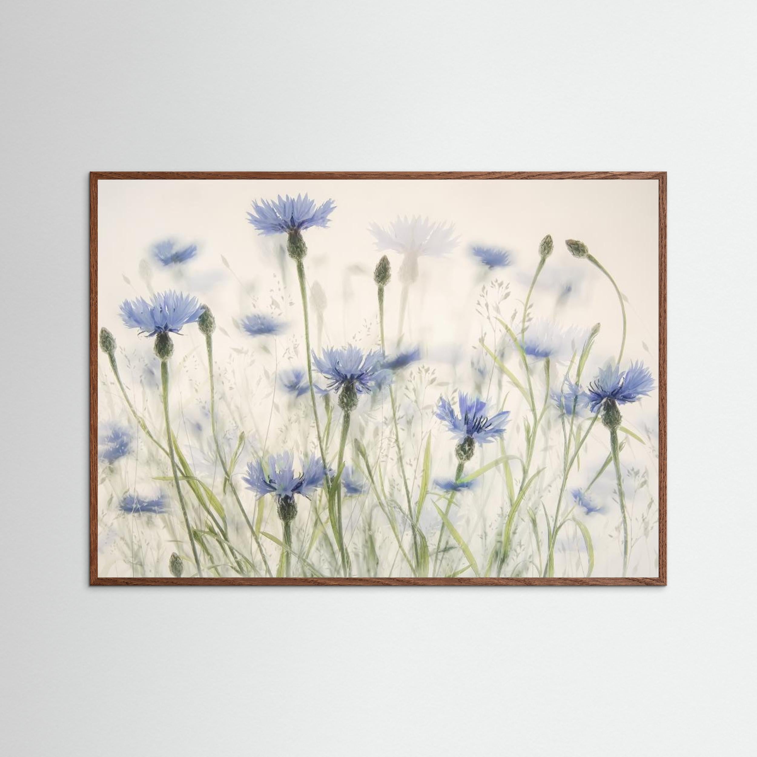 Cornflowers by Nel Talen