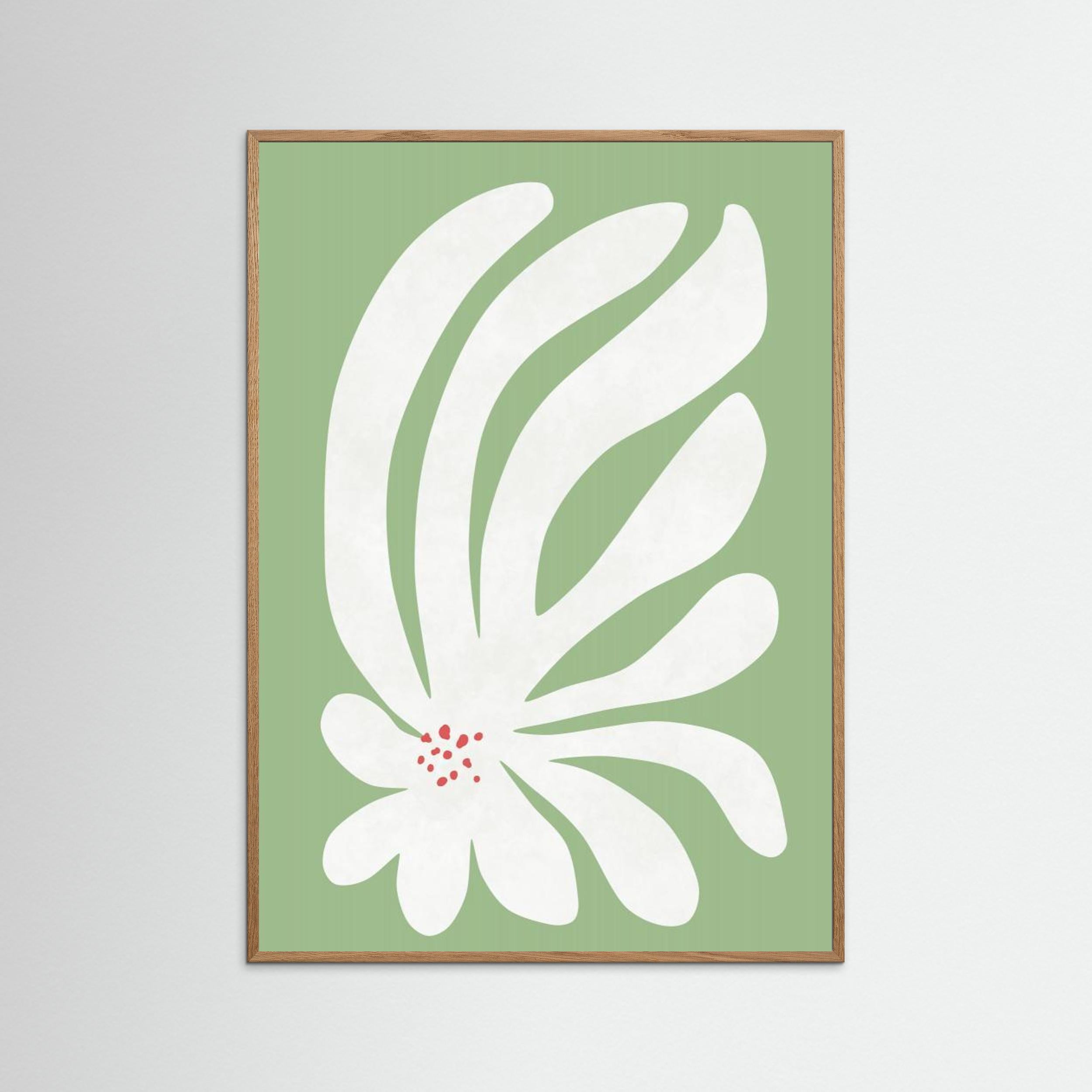 White Chrysanthemum Flower by Amini54