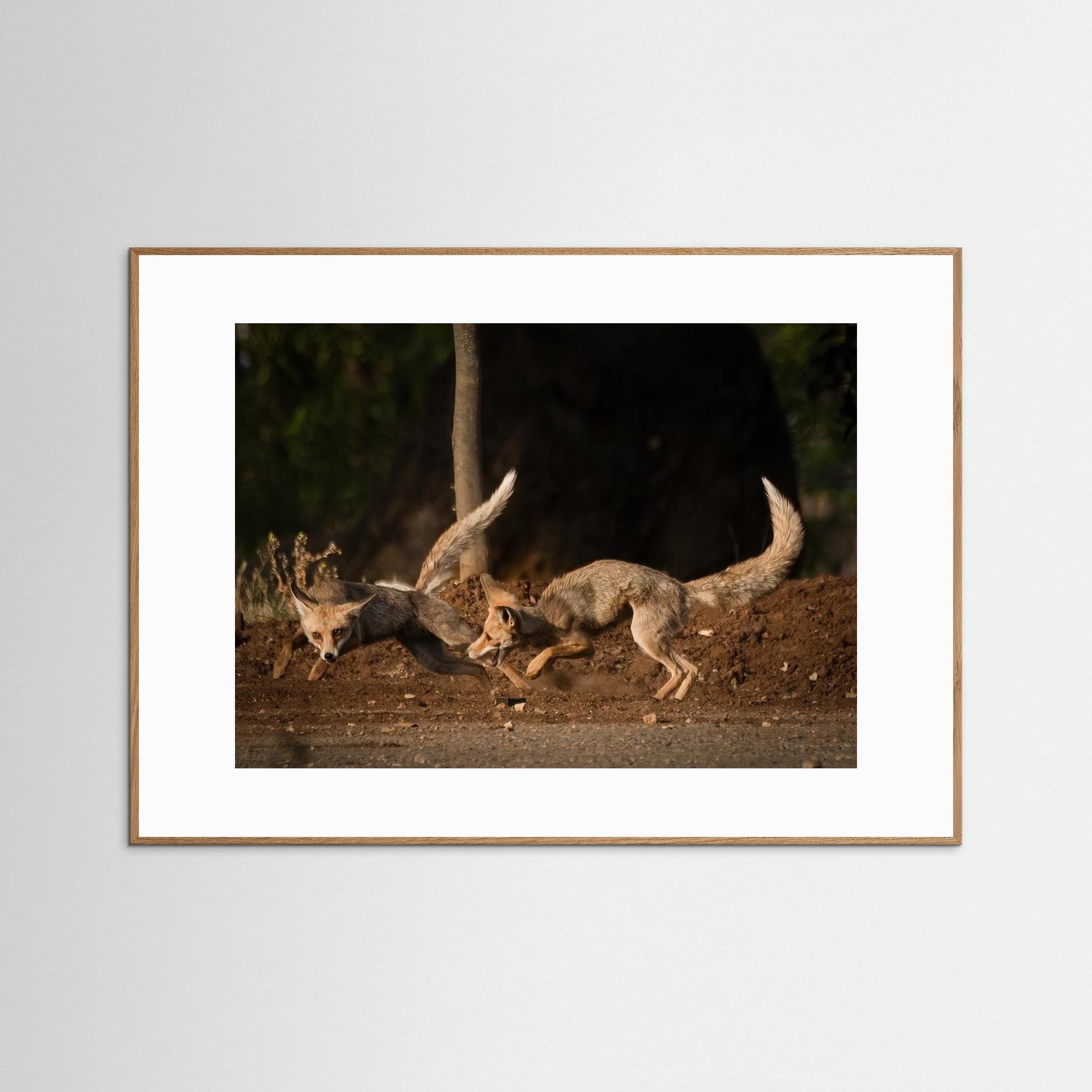 Morning games by Doron Margulies