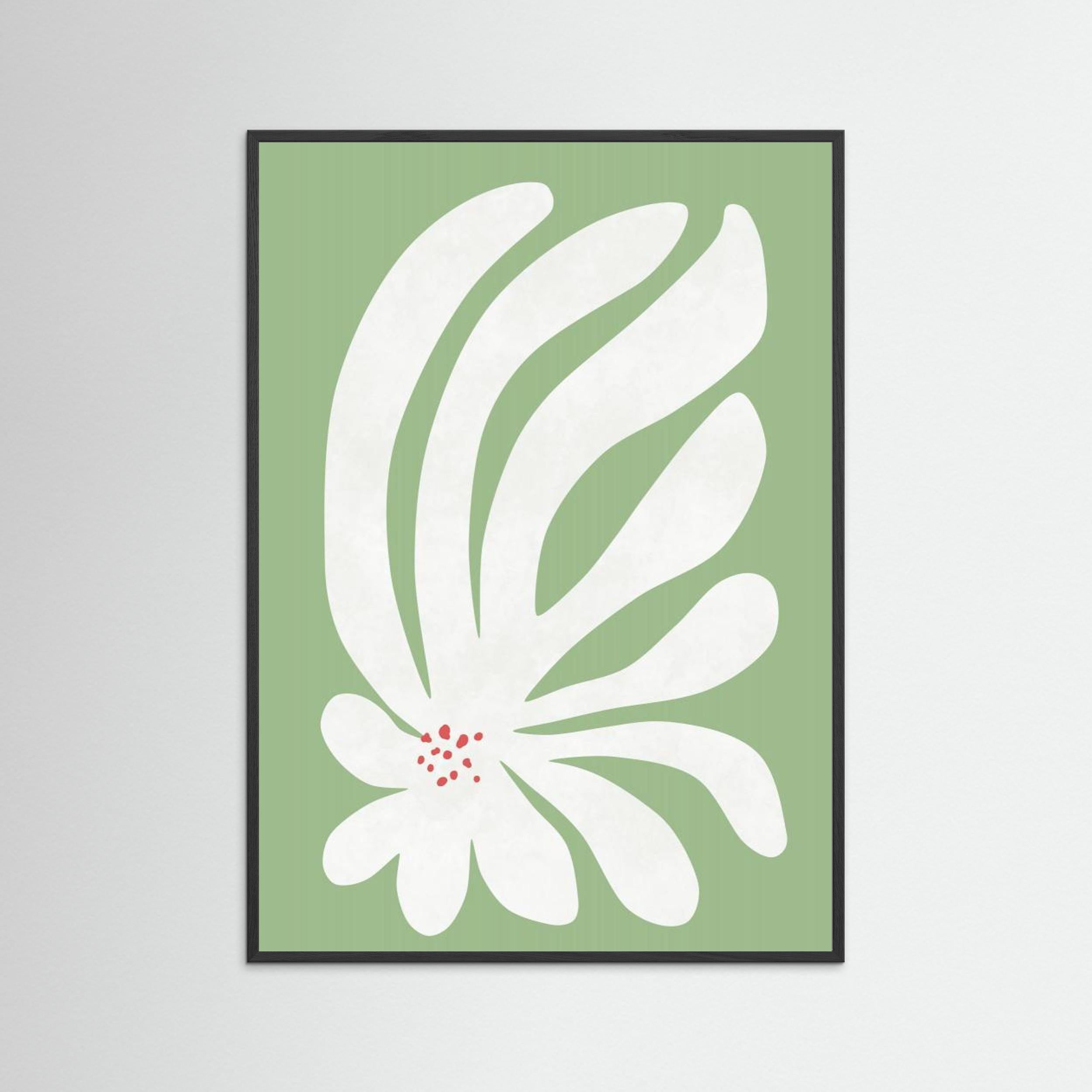 White Chrysanthemum Flower by Amini54