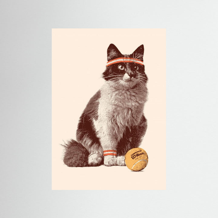 Chat Tennis by Florent Bodart