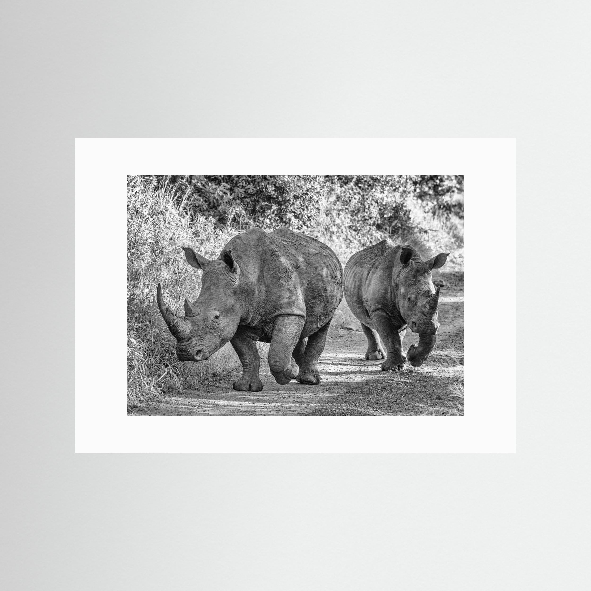 The two rhinos - Wildlife III by Regine Richter